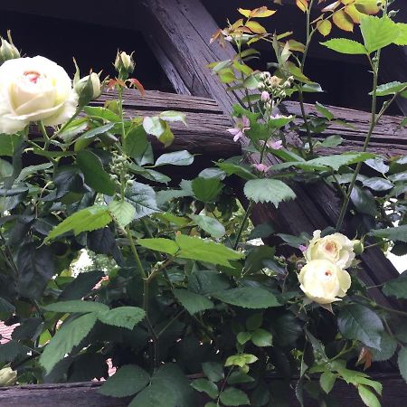 B&B Le Lodge Bourgheim Esterno foto