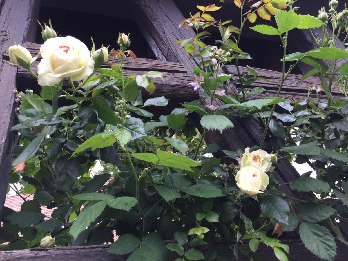 B&B Le Lodge Bourgheim Esterno foto