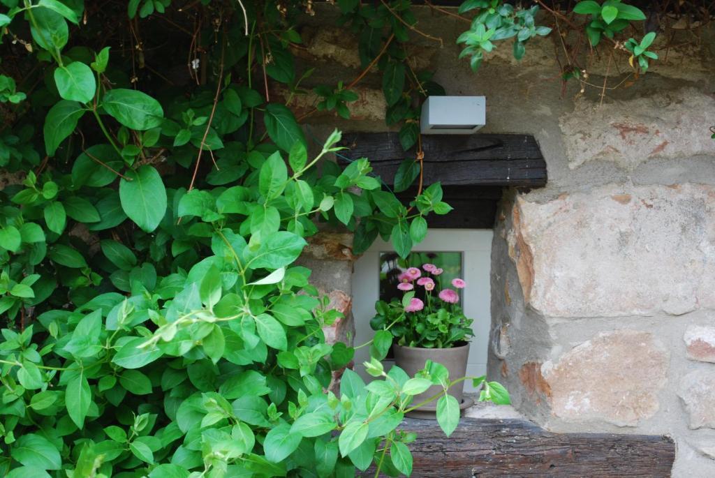 B&B Le Lodge Bourgheim Esterno foto